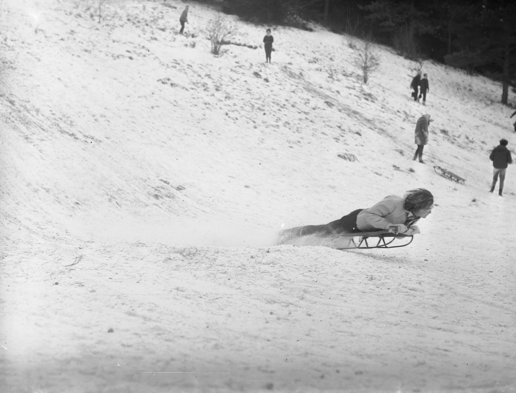 Lady on a sled speeding down a snowy hill.